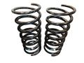 Federn Schwerlast Mercedes G-Klasse W460, W461. Sanikoffer Wolf. 